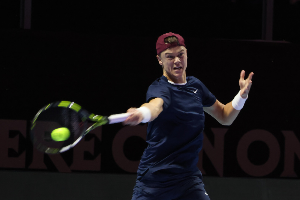 一个个鲜活 一个个鲜活