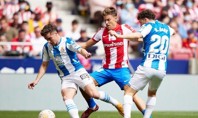 青少年培养 青少年培养