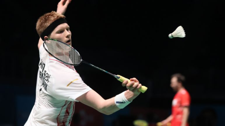 康和竞技追 康和竞技追