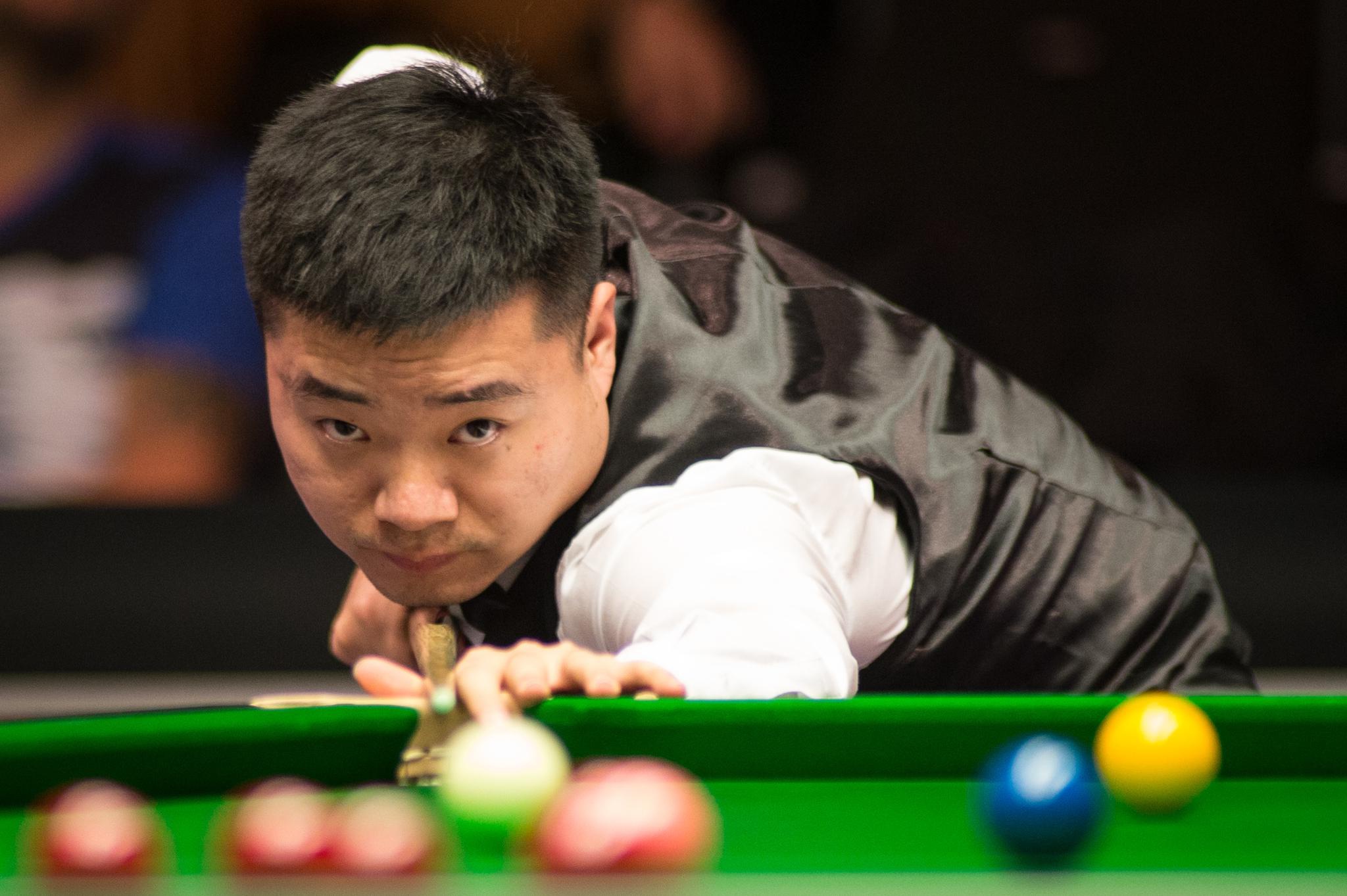 装菜鸟后展 装菜鸟后展